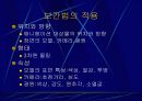 보간법 10페이지