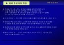 영화산업 분석 48페이지