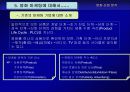 영화산업 분석 97페이지