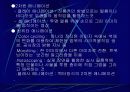 컴퓨터 그래픽 11페이지