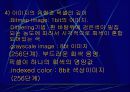 컴퓨터 그래픽 18페이지