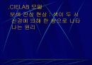 컴퓨터 그래픽 25페이지