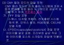 컴퓨터 그래픽 31페이지