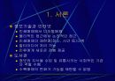 국가지식정보자원의 전략적 디지털화 3페이지