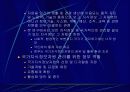 국가지식정보자원의 전략적 디지털화 12페이지