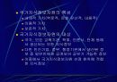 국가지식정보자원의 전략적 디지털화 13페이지