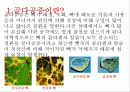 골다공증에 대한 이해와 분석 2페이지