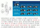 골다공증에 대한 이해와 분석 4페이지