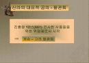 한국 축제의 역사 4페이지