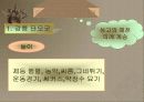 한국 축제의 역사 10페이지
