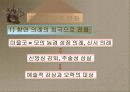 한국 축제의 역사 14페이지