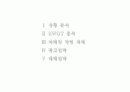 마케팅 기획서 2페이지