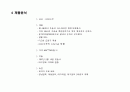 마케팅 기획서 21페이지