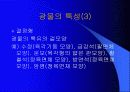 광물의 대하여 4페이지