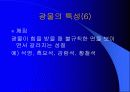 광물의 대하여 8페이지