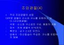 광물의 대하여 14페이지