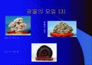광물의 대하여 18페이지