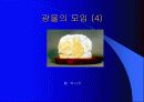 광물의 대하여 19페이지