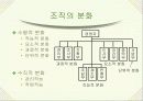경영계획 / 경영조직 12페이지