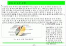 한국경제전망분석 28페이지
