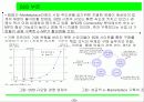 한국경제전망분석 31페이지