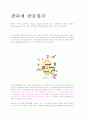 광촉매재료 2페이지