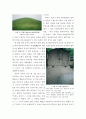 삼국유사의 숨결을 찾아서-부제 : 나의 경주 답사기 5페이지