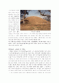 삼국유사의 숨결을 찾아서-부제 : 나의 경주 답사기 22페이지