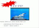 파워포인트 강의 및 설명 자료-파워포인트의 기초와 사용 방법 19페이지