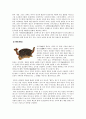 문양디자인 - 한국적인 디자인 5페이지