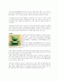 문양디자인 - 한국적인 디자인 13페이지