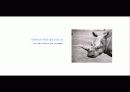 The Blue Day Book-누구에게나 우울한 날은 있다  인생에 삶에 대한 고찰 9페이지