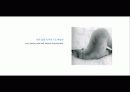 The Blue Day Book-누구에게나 우울한 날은 있다  인생에 삶에 대한 고찰 10페이지