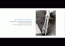 The Blue Day Book-누구에게나 우울한 날은 있다  인생에 삶에 대한 고찰 11페이지