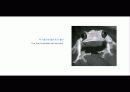 The Blue Day Book-누구에게나 우울한 날은 있다  인생에 삶에 대한 고찰 12페이지