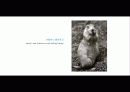 The Blue Day Book-누구에게나 우울한 날은 있다  인생에 삶에 대한 고찰 13페이지