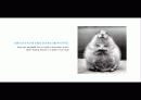 The Blue Day Book-누구에게나 우울한 날은 있다  인생에 삶에 대한 고찰 14페이지