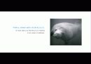 The Blue Day Book-누구에게나 우울한 날은 있다  인생에 삶에 대한 고찰 15페이지