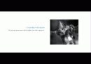 The Blue Day Book-누구에게나 우울한 날은 있다  인생에 삶에 대한 고찰 18페이지