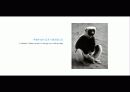 The Blue Day Book-누구에게나 우울한 날은 있다  인생에 삶에 대한 고찰 20페이지