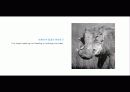The Blue Day Book-누구에게나 우울한 날은 있다  인생에 삶에 대한 고찰 21페이지
