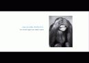 The Blue Day Book-누구에게나 우울한 날은 있다  인생에 삶에 대한 고찰 25페이지