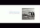The Blue Day Book-누구에게나 우울한 날은 있다  인생에 삶에 대한 고찰 28페이지