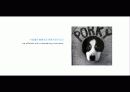 The Blue Day Book-누구에게나 우울한 날은 있다  인생에 삶에 대한 고찰 29페이지