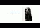 The Blue Day Book-누구에게나 우울한 날은 있다  인생에 삶에 대한 고찰 30페이지