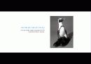 The Blue Day Book-누구에게나 우울한 날은 있다  인생에 삶에 대한 고찰 32페이지