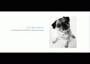 The Blue Day Book-누구에게나 우울한 날은 있다  인생에 삶에 대한 고찰 34페이지