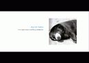 The Blue Day Book-누구에게나 우울한 날은 있다  인생에 삶에 대한 고찰 35페이지