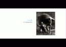 The Blue Day Book-누구에게나 우울한 날은 있다  인생에 삶에 대한 고찰 36페이지