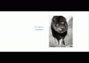 The Blue Day Book-누구에게나 우울한 날은 있다  인생에 삶에 대한 고찰 38페이지